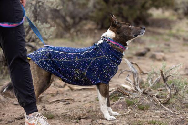 Ruffwear Crag Collar Alpine Dusk 28-36cm Ruffwear Crag Collar Alpine Dusk 28-36cm